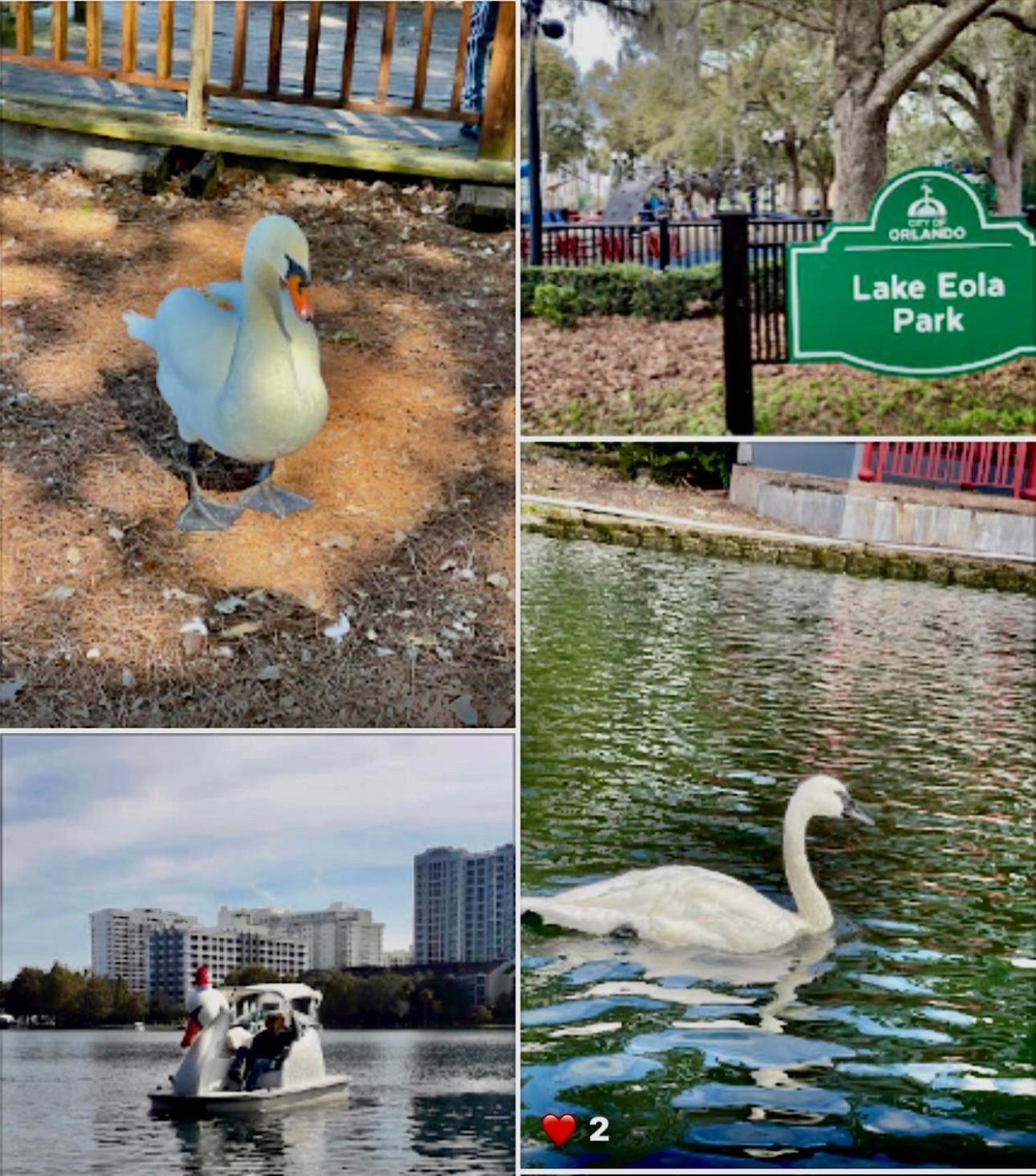 Happy Place Orlando Exterior photo
